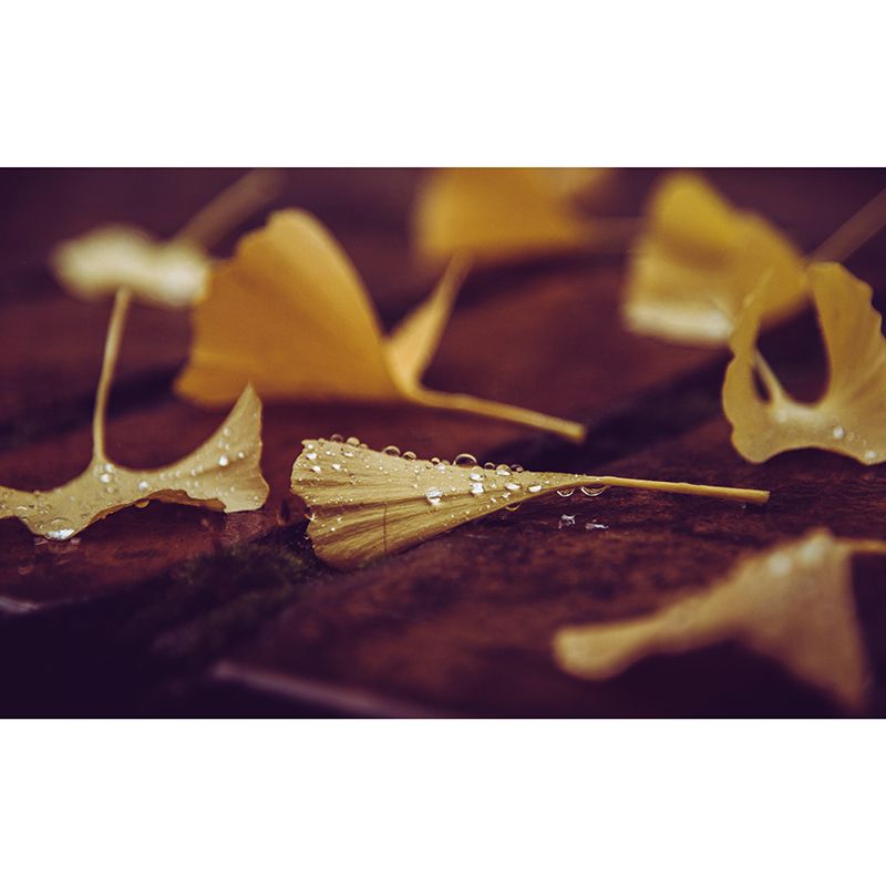 Plant Mural Wallpaper Ginkgo Leaf Pattern for Reading Room Bedroom Home Decor