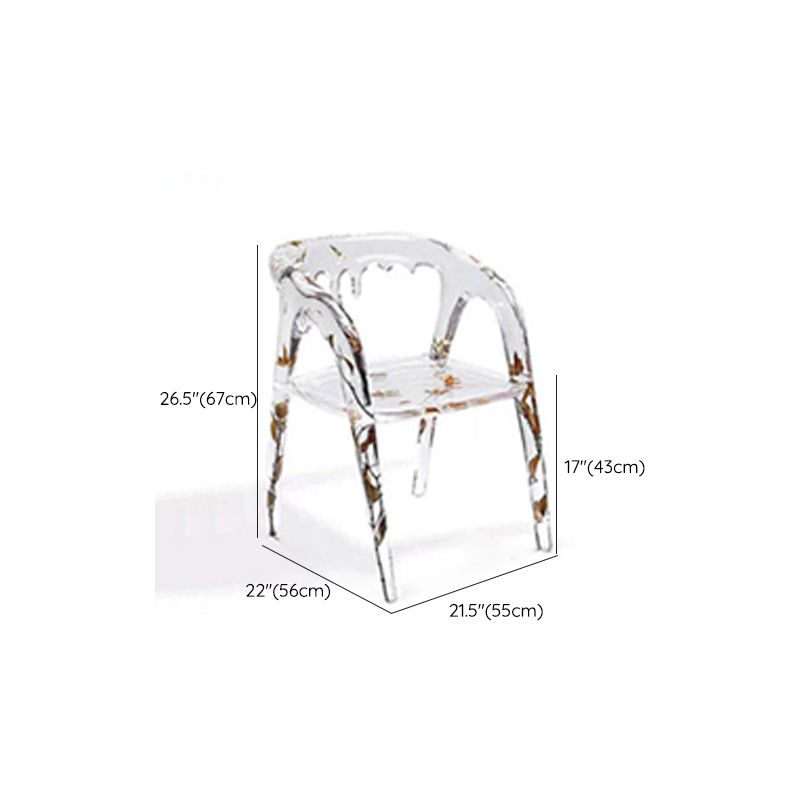 Modern Simple Arm Chair Resin Frame Dining Arm Chair for Dining Room