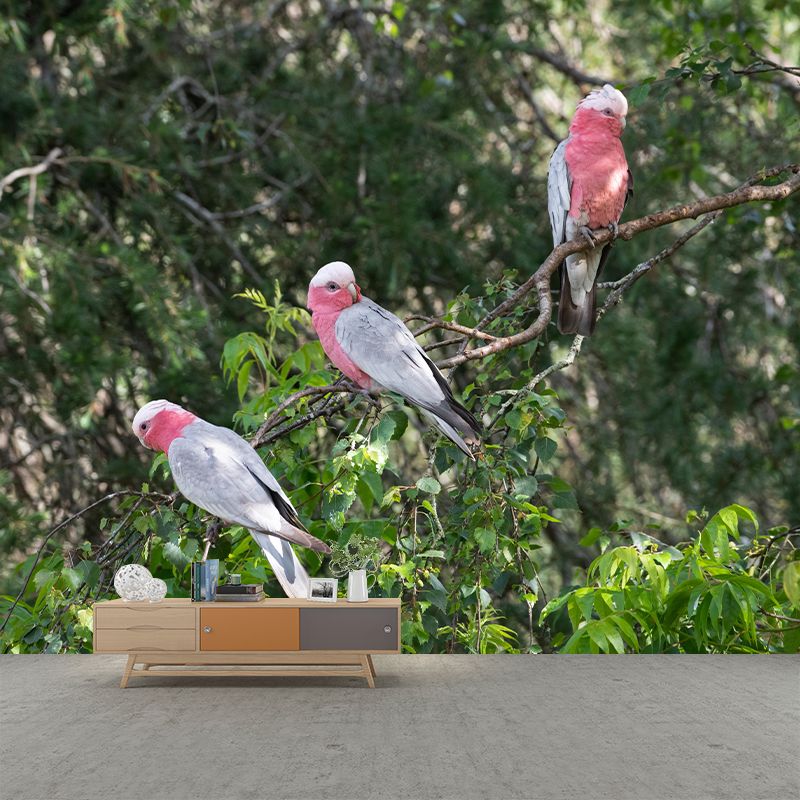 Parrot Animal Mural Wallpaper Stain Resistant Wall Covering for Living Room