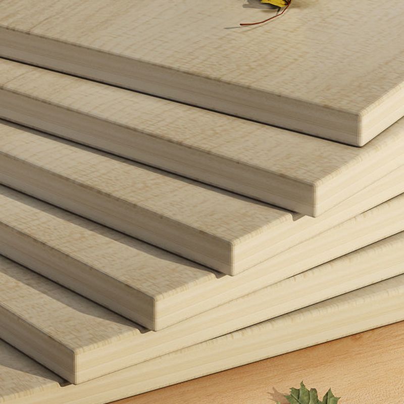 Manufactured Wood Standard Bookcase Contemporary Bookcase With Doors