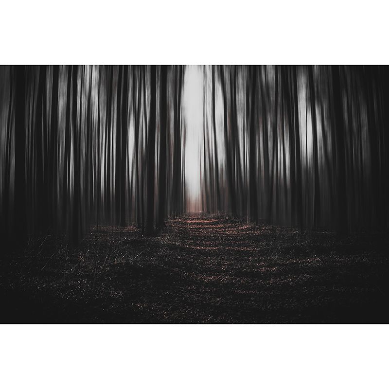 Modern Style Mural Wallpaper Forest Photography Indoor Wall Mural