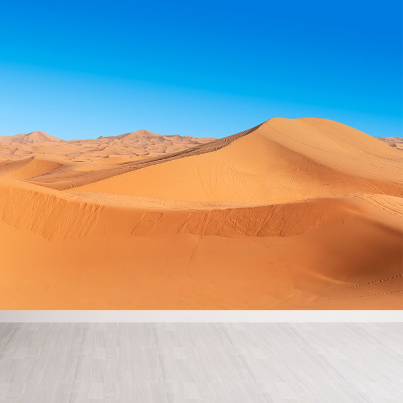 Contemporary Style Desert Mural Decal Water Resistant, Made to Measure