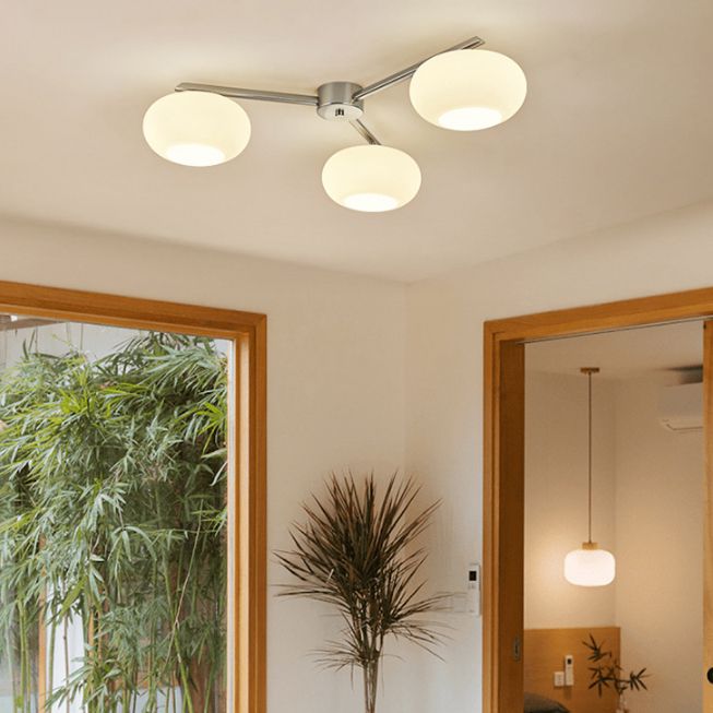 Modern Style Ceiling Lamp Glass Shade Flush Mount Light Fixture