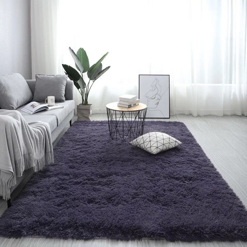 Novelty Plain Shag Carpet Polyester Indoor Rug Non-Slip Backing Area Carpet for Living Room