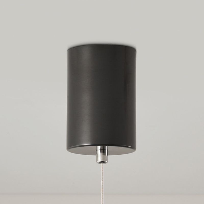Modern Hanging Ceiling Lights 2 Lights Hanging Light Fixtures for Dining Room