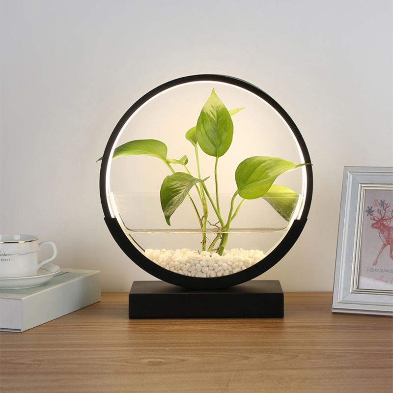 Lampada da tavolo da tavolo del cerchio nordico Acrilico Luce notturna a LED con pianta idroponica design
