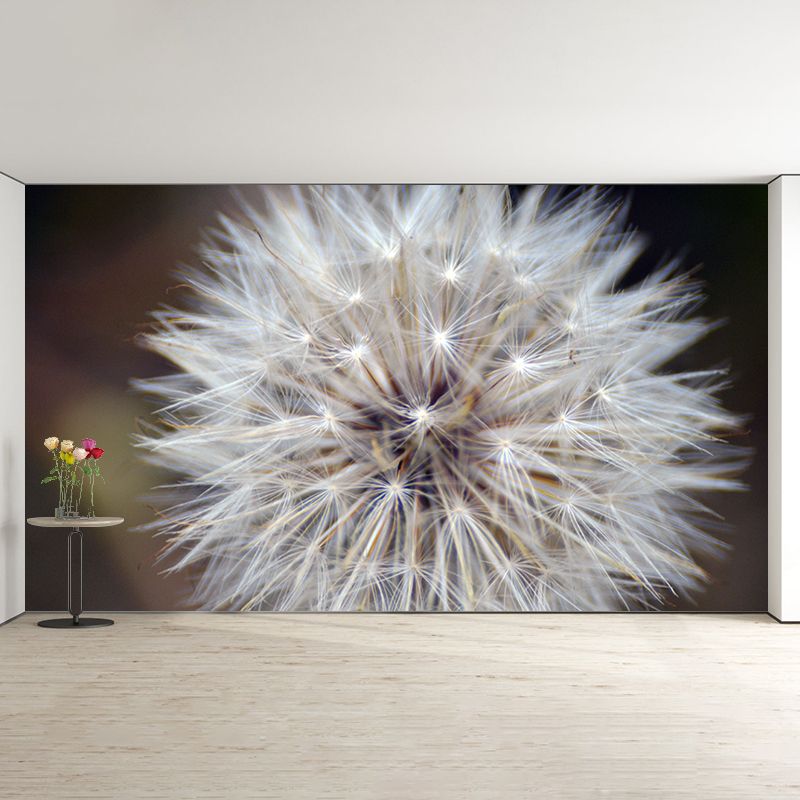Dandelion Plant Mural Wallpaper Home Decor Water Resistant Wallpaper for Living Room