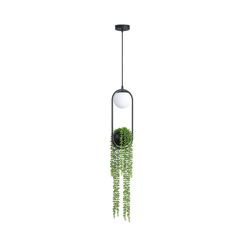 Industrial Global Plant Hanging Light 1 Bulb Metal LED Ceiling Suspension Lamp in Black