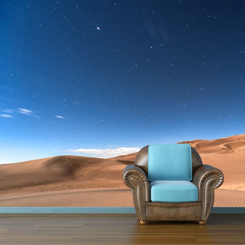 Contemporary Landscapes Wall Mural Photography Desert Resistant Wallpaper