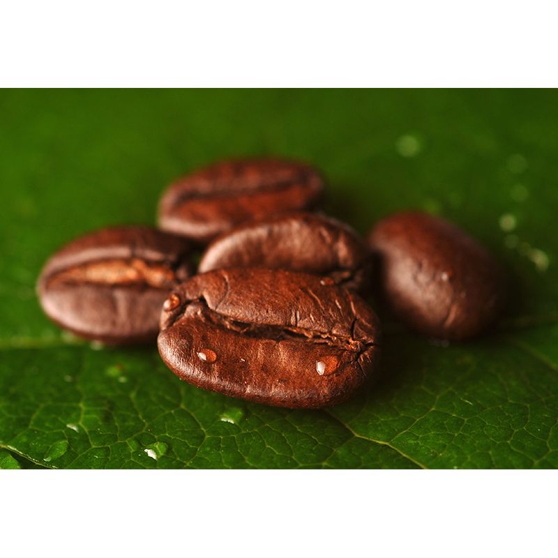 Modern Coffee Bean Pattern Mural Pastel Color Study Room Wall Decor, Personalized