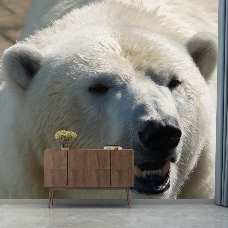 Polar Bear Animal House Wall Mural for Living Room Bedroom, Personalized Size