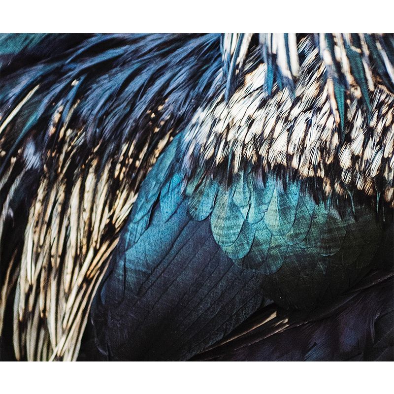 Environment Friendly Decorative Murals Feather Sleeping Room Wall Murals Wallpaper