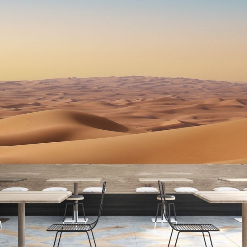 Contemporary Room Murals Photography Desert Stain Resistant Wall Mural