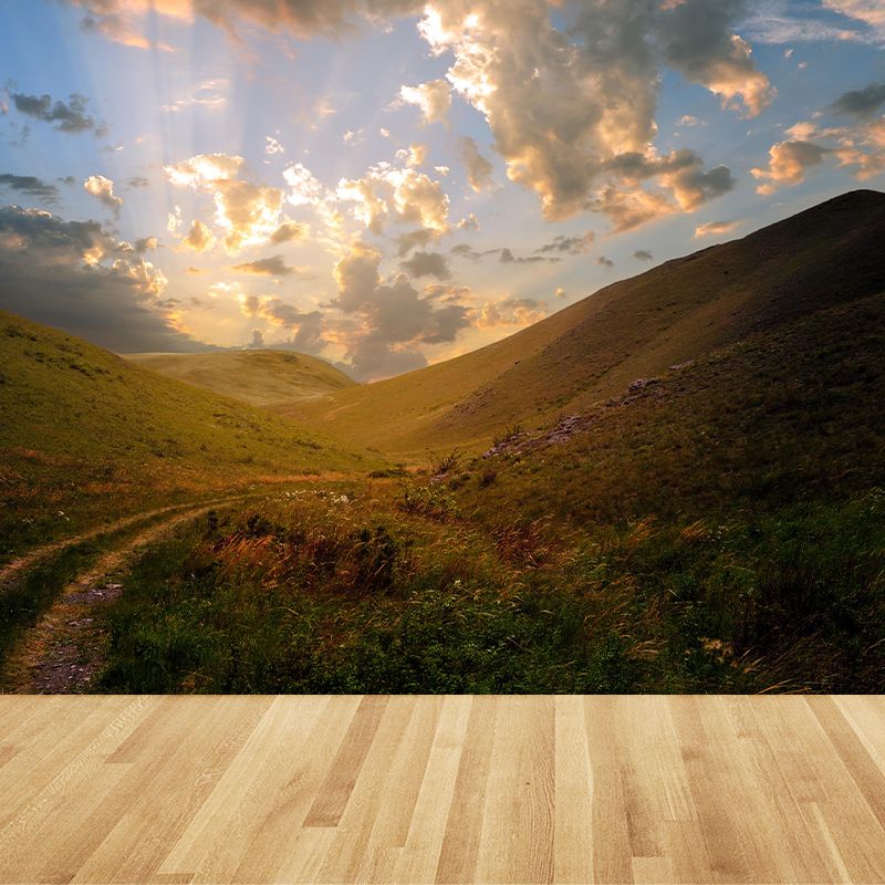 Photography Mountain Wall Mural Decorative Mildew Resistant Living Room Wall Mural