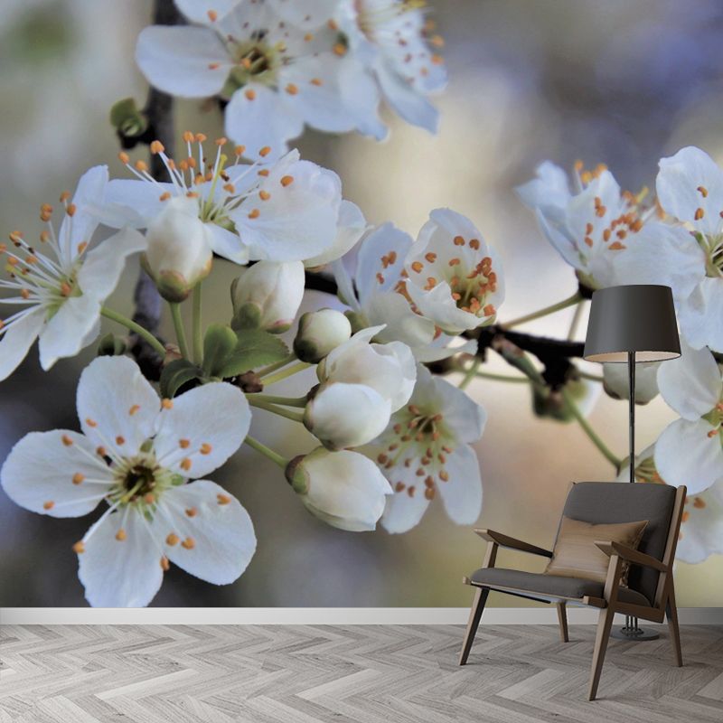 Customized Cherry Blossoms Mural Wallpaper Contemporary for Guest Room Decor