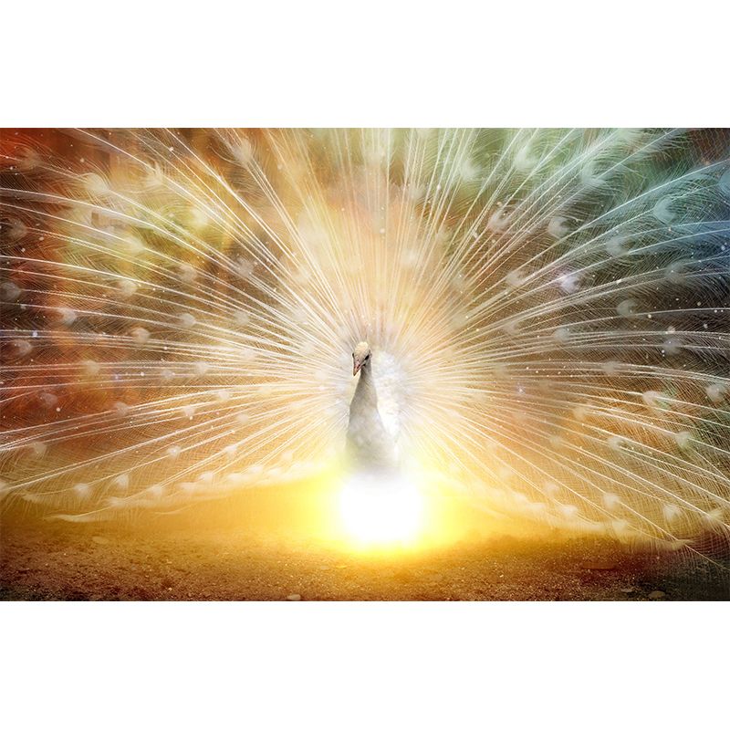 Tropical Style Peacock Mural with spreading tail Pattern Light Color Wall Art for Decoration