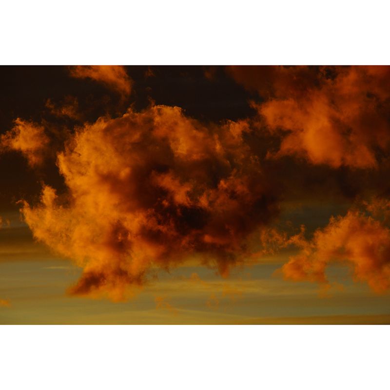 View of Clouds Mural Soft Color Stain Resistant Wall Art for Living Room