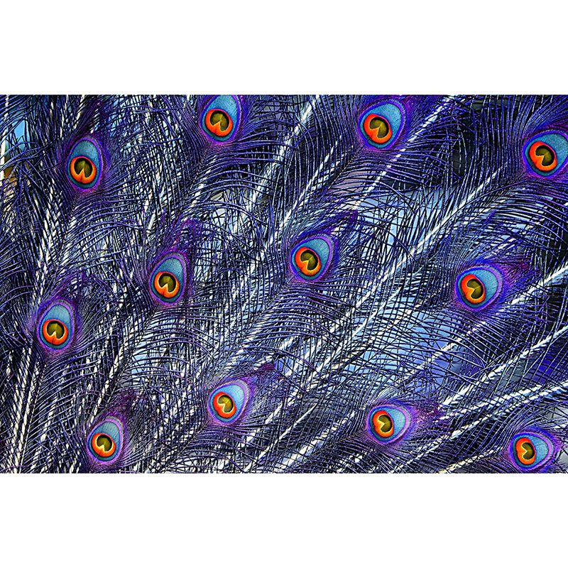 Peacock Feather Wallpaper Mural Tropical Style Girls Room Mural for Wall Decor