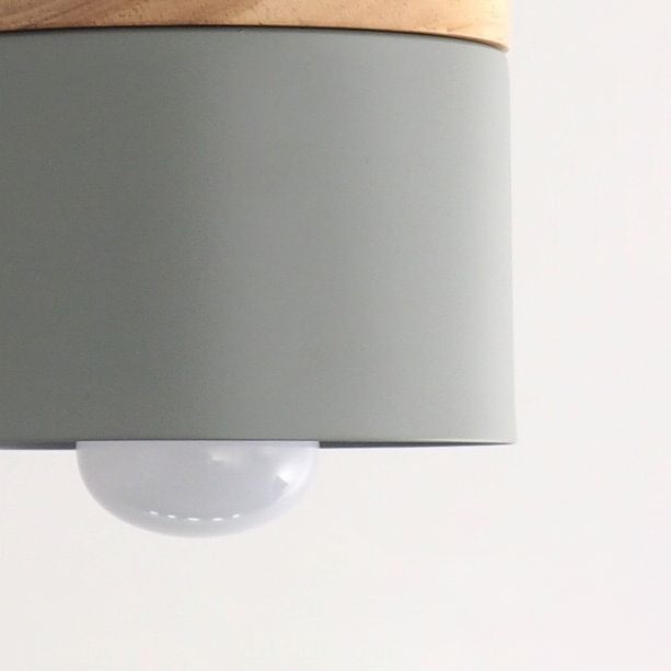 Wooden Cylindroid Pendant Light in Modern Artistic Style Iron Macaron Hanging Lamp for Dining Room