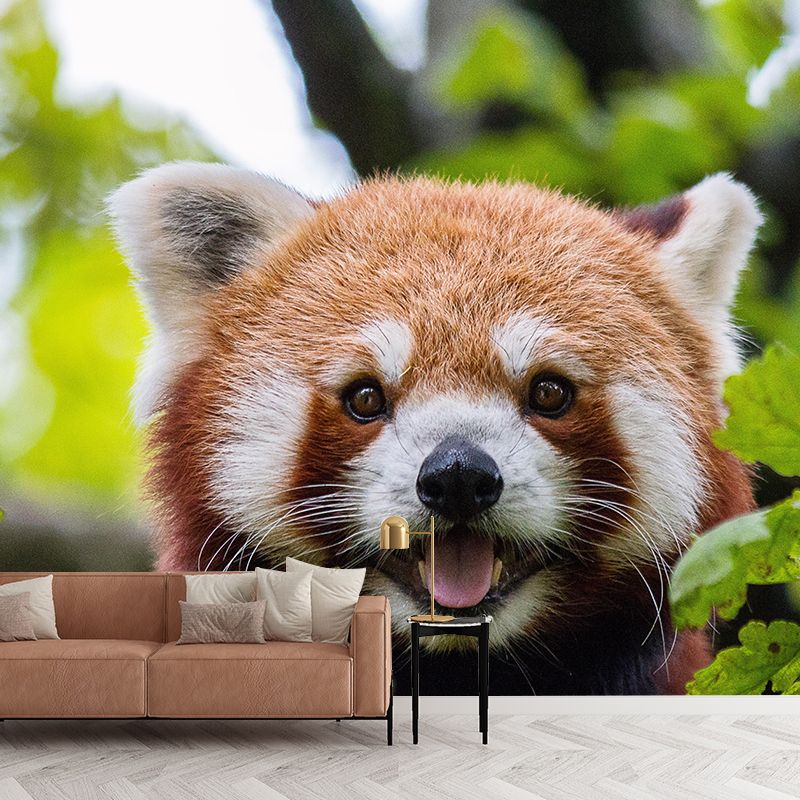 Modern Style Red-Panda Mural Wall Decor Mildew Resistant Living Room Wall Mural Wall Art