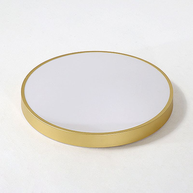 Simplicity Style Acrylic Lampshade LED Flush Mount Light Round Metal Border Ceiling Light for Hallway Balcony