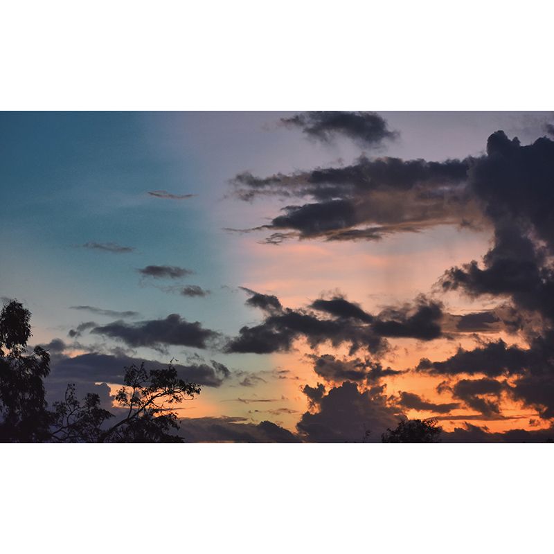 Sky Wall Mural Decal for Gust Room Moisture Resistant, Custom Size Available