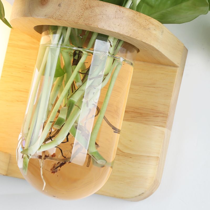 Cream Glass Cube Sconce Lamp Art Deco 1-Bulb Wood Wall Mount Light with Hydroponic Plant Pot