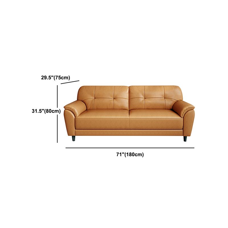 Stain Resistant Contemporary Pillow Top Arm Standard Settee Couch