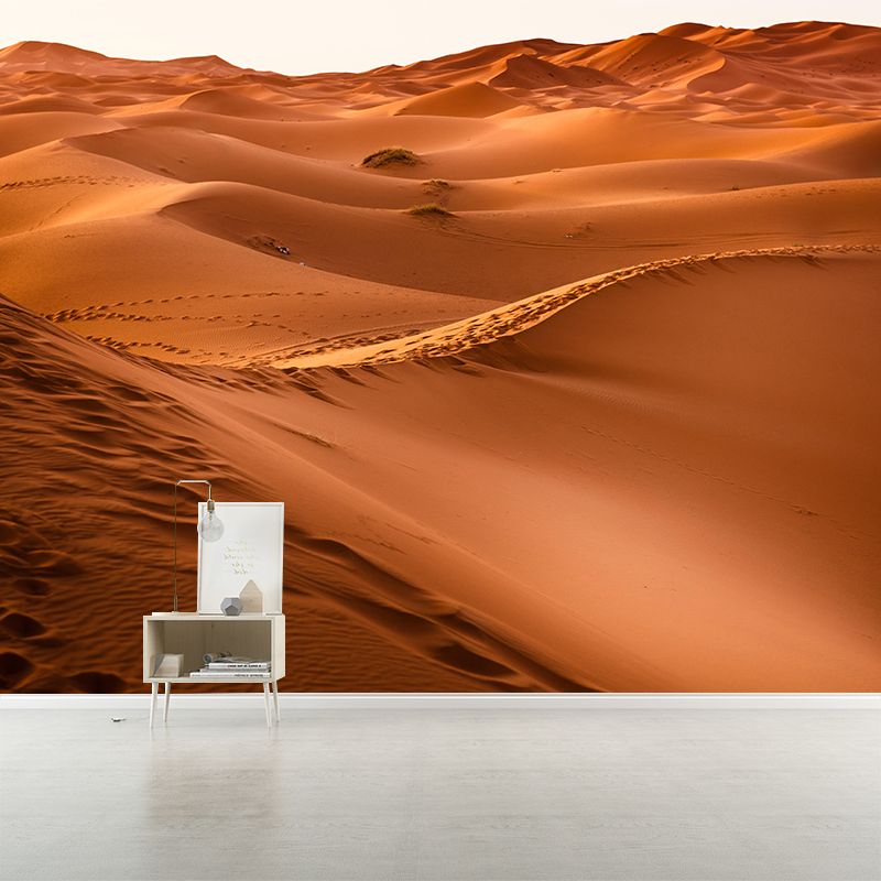 Landscapes Photography Wall Mural Stain Resistant Desert Contemporary House Murals