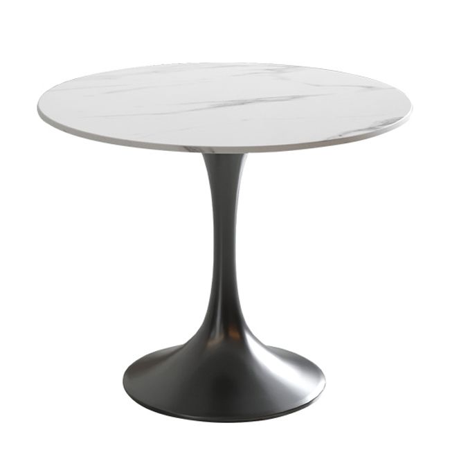 Modern Round Dining Table Sintered Stone Tulip Table for Dining Room