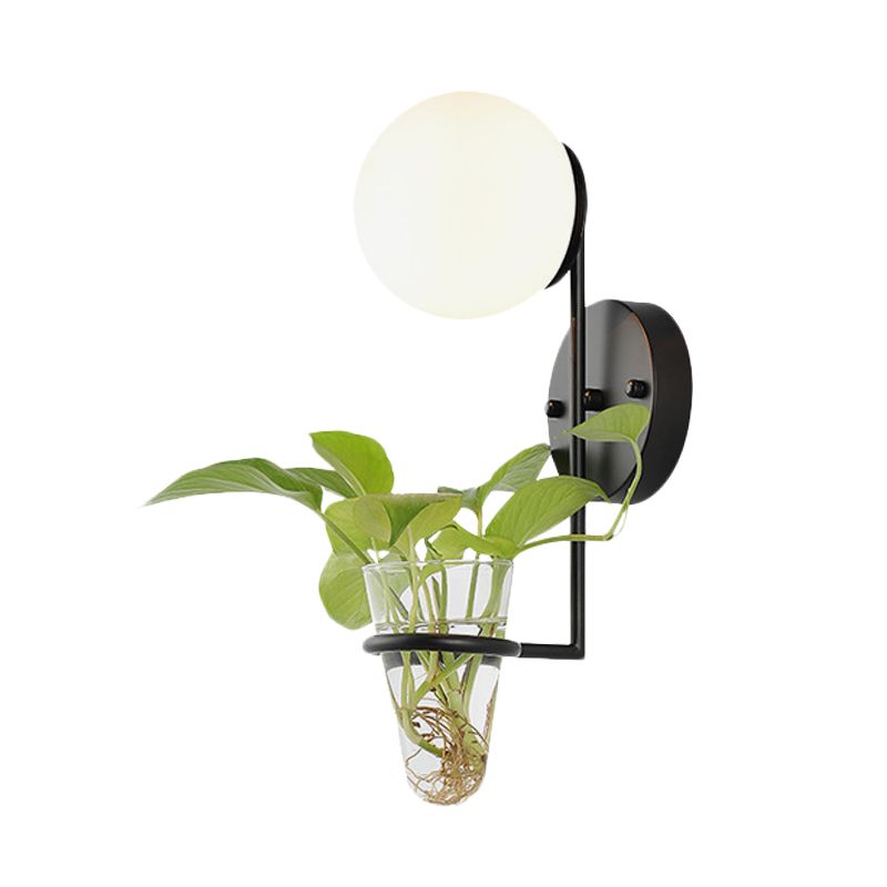 1 Bulb Sconce Lamp Industrial Global Cream/Smoke Gray Glass Wall Light in Black/Gold with Clear Glass Plant Cup