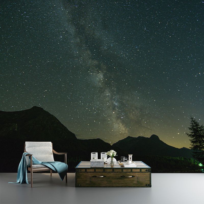 Cosmic Night Mural Water Resistant Decorative Wall Decor for Sleeping Room