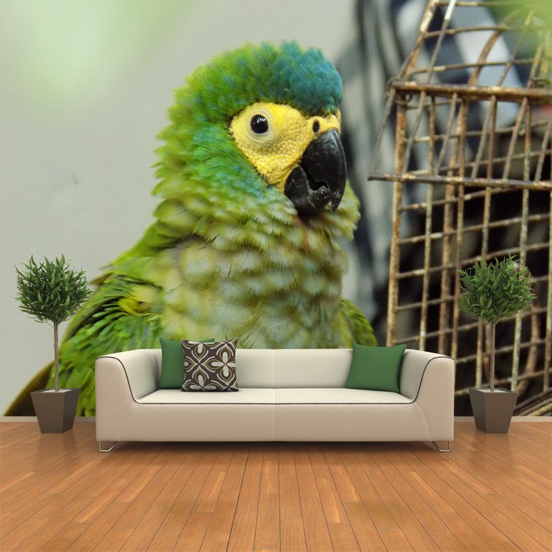 Tropical Cute Parrot Wall Covering for Exhibition Hall Decor, Made to Measure