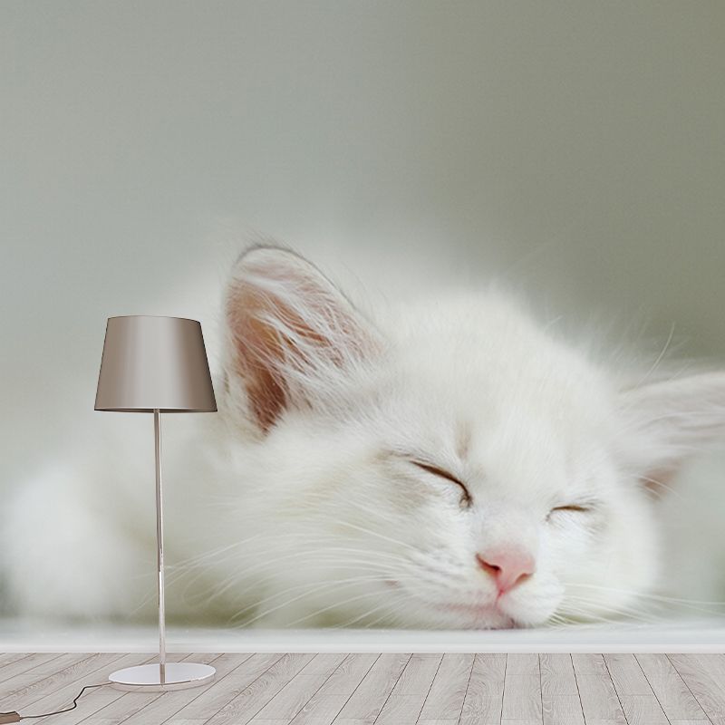 Cute Cats Photography Mural Wallpaper Environment Friendly Living Room Wall Mural