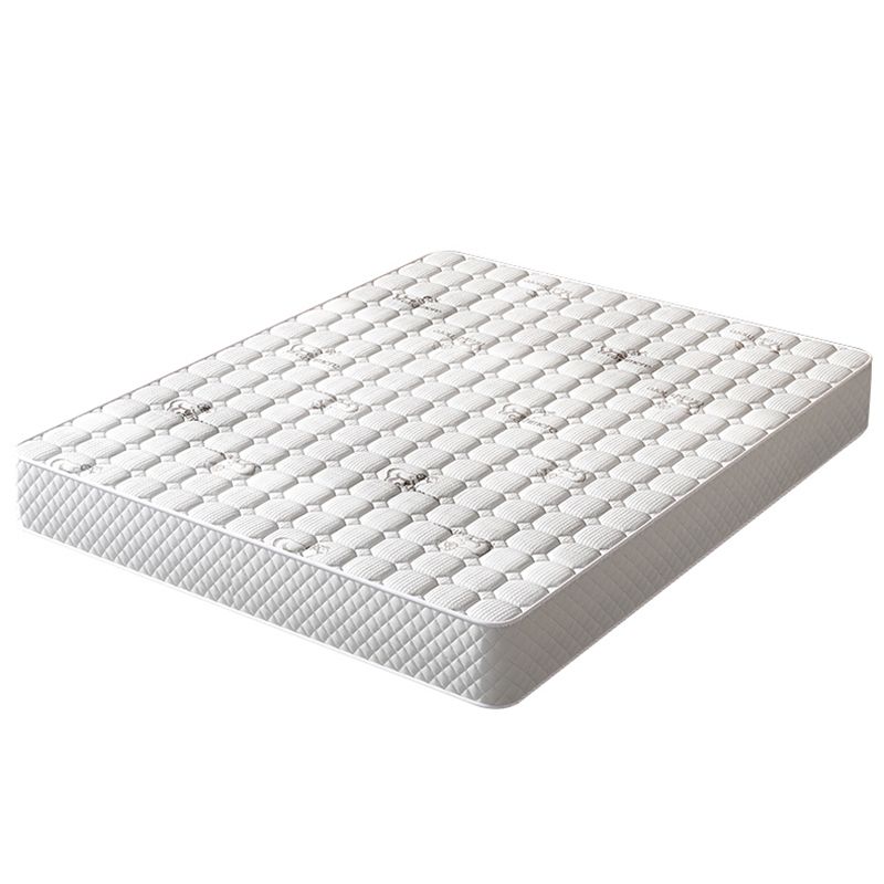 Mattress Included Platform Bed Frame Storage Platform Bed with Drawers