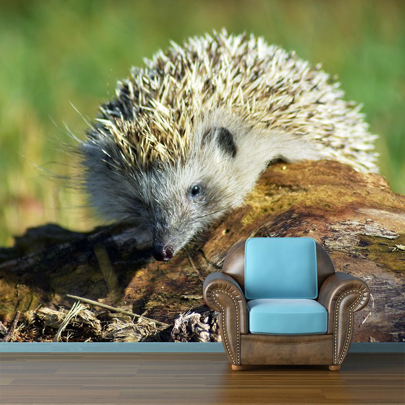 Photography Mural Wall Decor Hedgehog Mildew Resistant Living Room Wall Mural Wall Art