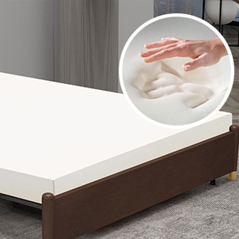 Contemporary Convertible Armless Cotton Blend Bed Sofa Couch
