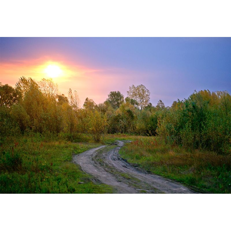 Environment Friendly Decorative Murals Forest Room Wall Murals Wallpaper