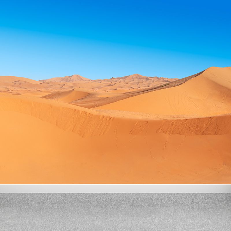 Contemporary Style Desert Mural Decal Water Resistant, Made to Measure