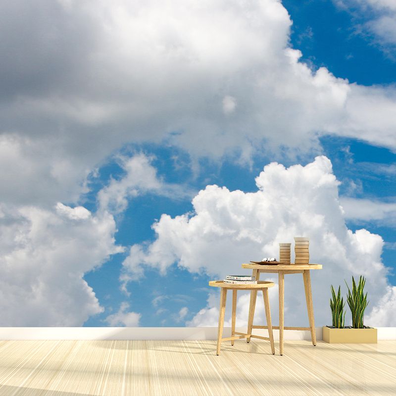 Photography Wallpaper Modern Stain Resistant Sky Pattern Bedroom Wall Mural
