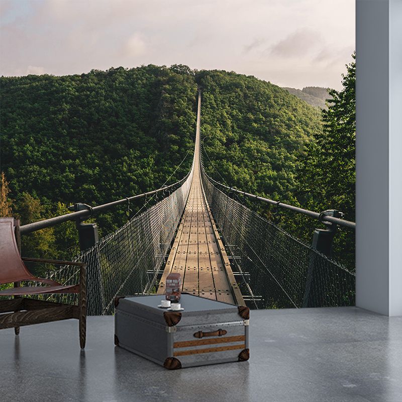 Mildew Resistant Space Extension Mural Decorative Environment Friendly for Room