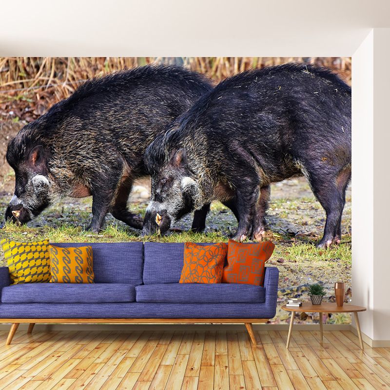 Customized Lion Wall Mural Contemporary Photography for Bedroom Living Room