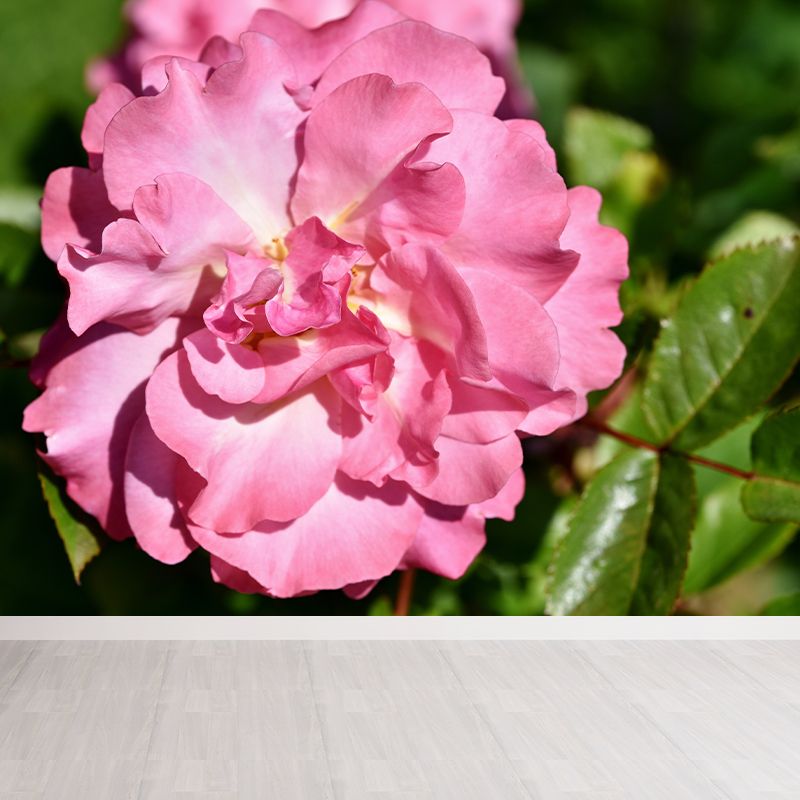 Beautiful Flower Mural Wallpaper Gust Room Decorative Wall Art, Personalized Size Available