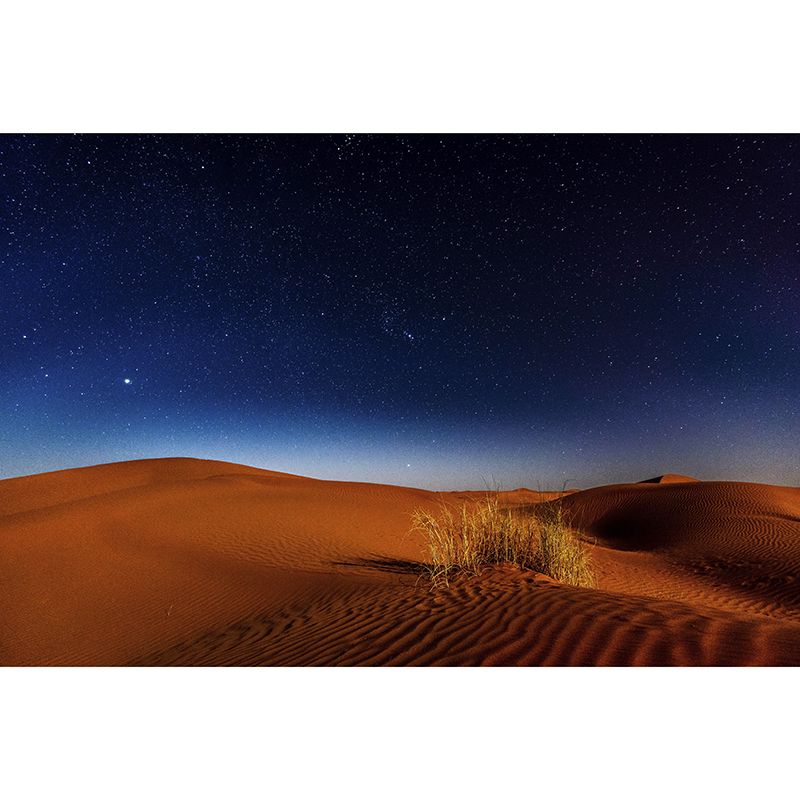 Modern Style Desert Wall Covering for Home Wall Decor Water Resistant, Made to Measure