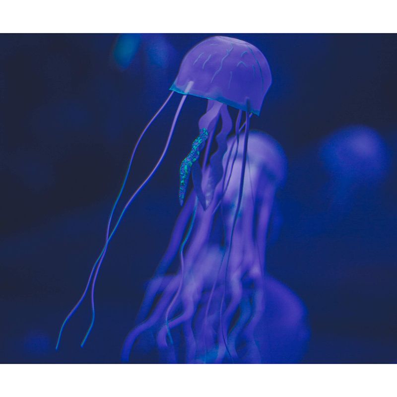 Jellyfish Print Tropical Beach Style Seabed Mural Mildew Resistant for Bathroom