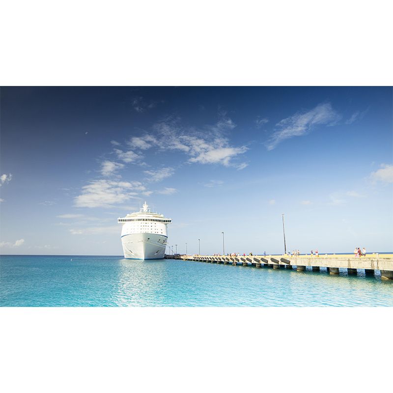 Cruise-Ship Mural Decal Customized Contemporary Wall Covering for Meeting Room