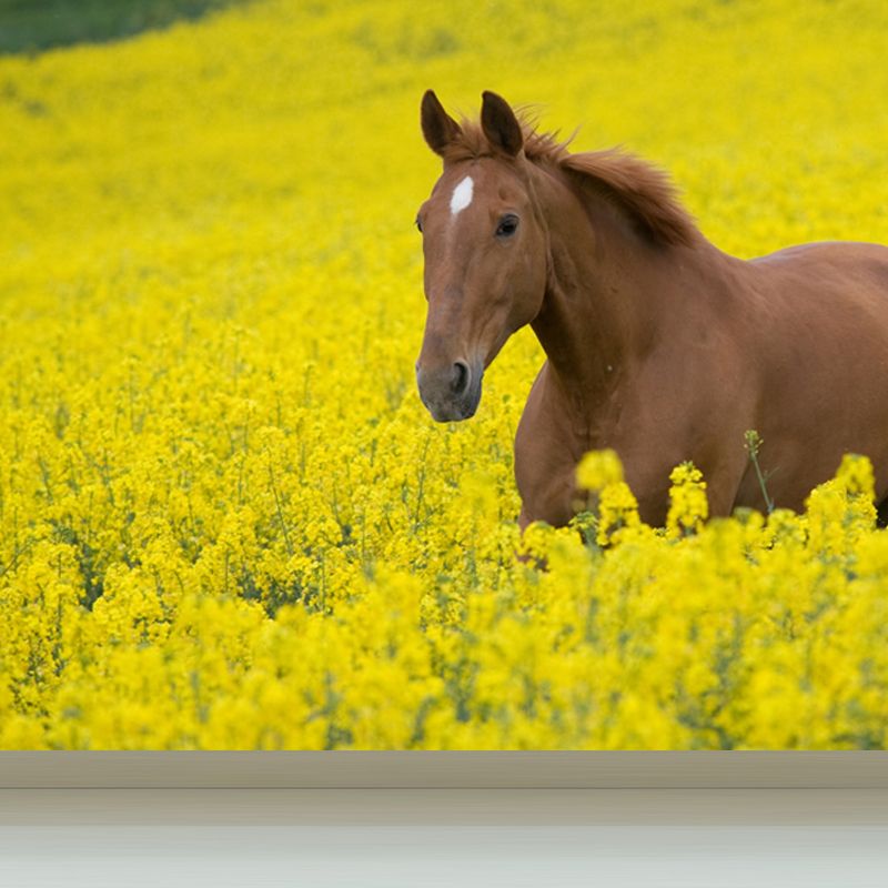 Horse Mural Decal Modern Decorative Boys Room Wall Covering, Custom Size Available