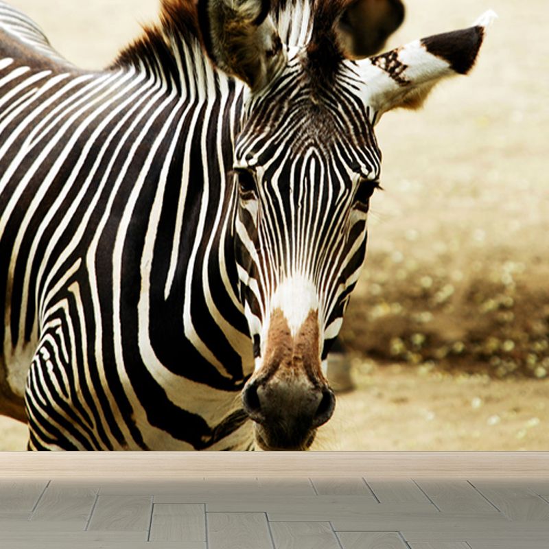 Contemporary Africa Zebra Mural Decal Pastel Color Natural Animals Wall Covering