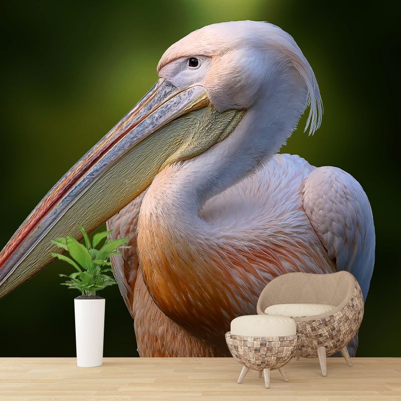 Customized Contemporary Pelican Mural Mildew Resistant for Sitting Room Bedroom