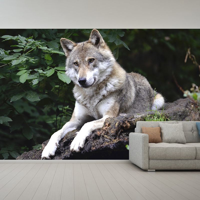 Contemporary Style Wolf Mural Eco-friendly Wallpaper Wall Covering for Sitting Room